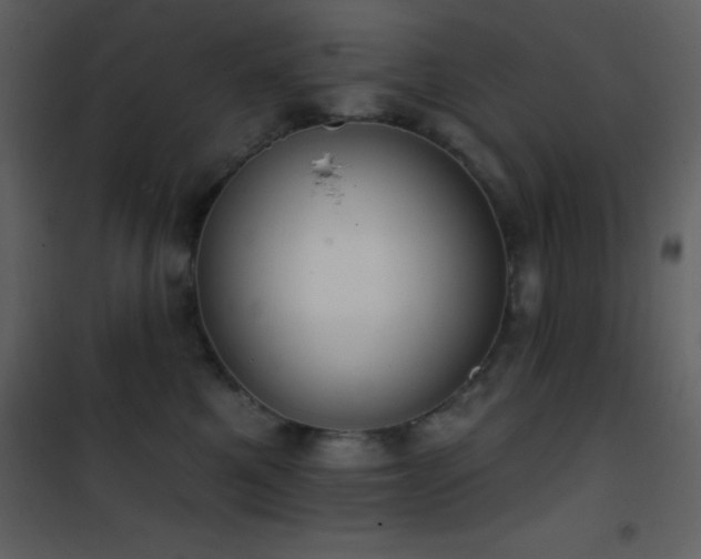 X0000101970521200807181108