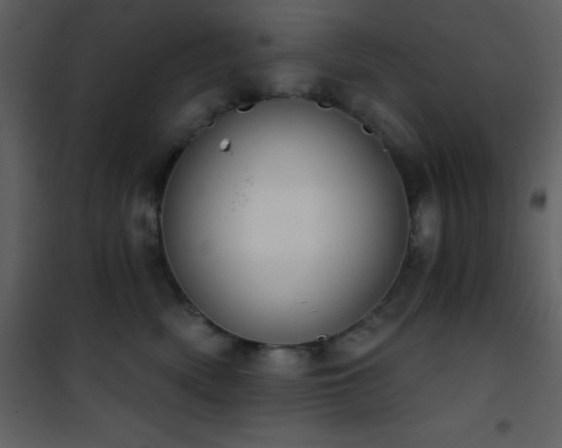X0000101970522200807181108