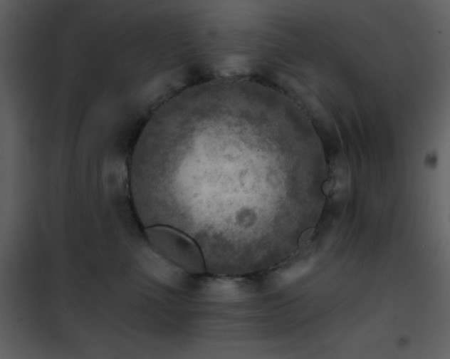 X0000101970523200807181108