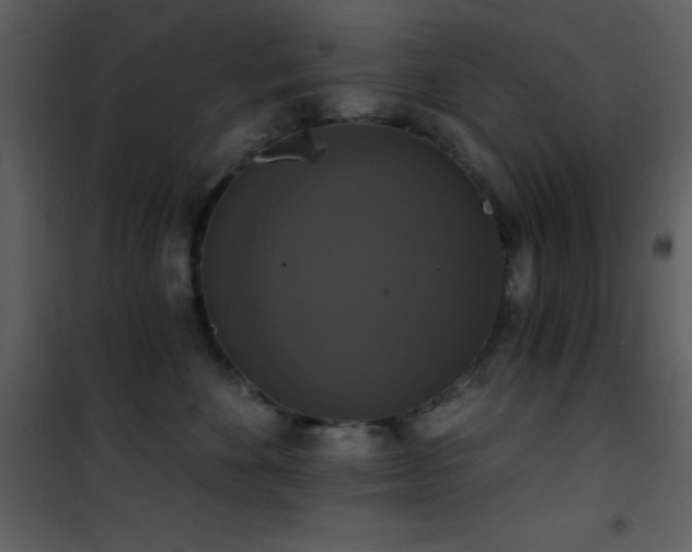 X0000101970524200807181108