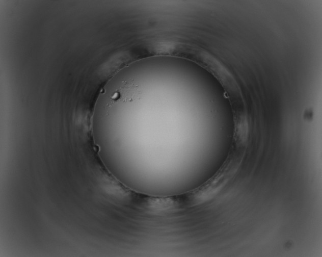 X0000101970525200807181108