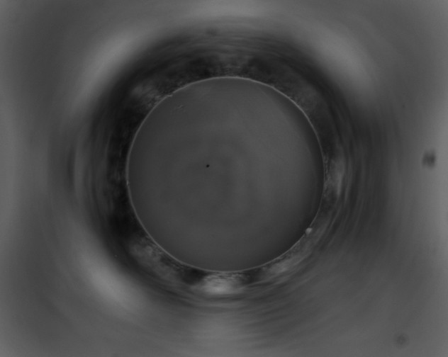 X0000101970526200807181108