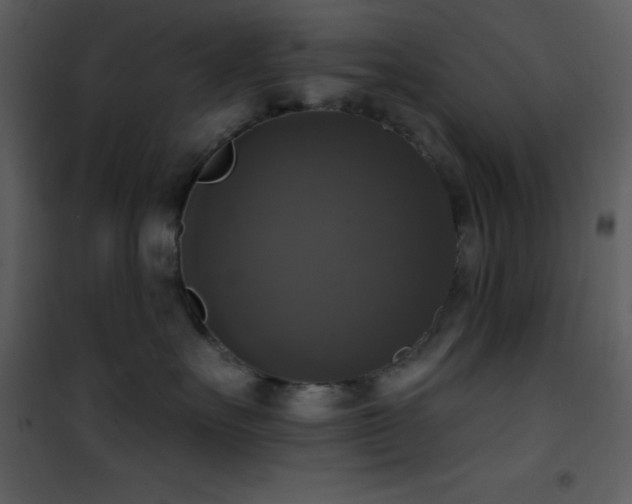 X0000101970527200807181108