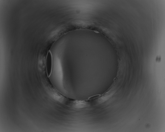 X0000101970528200807181108
