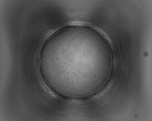 X0000101970529200807181107