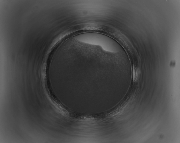 X0000101970531200807181107