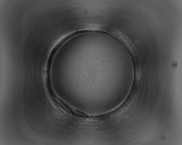 X0000101970532200807181107