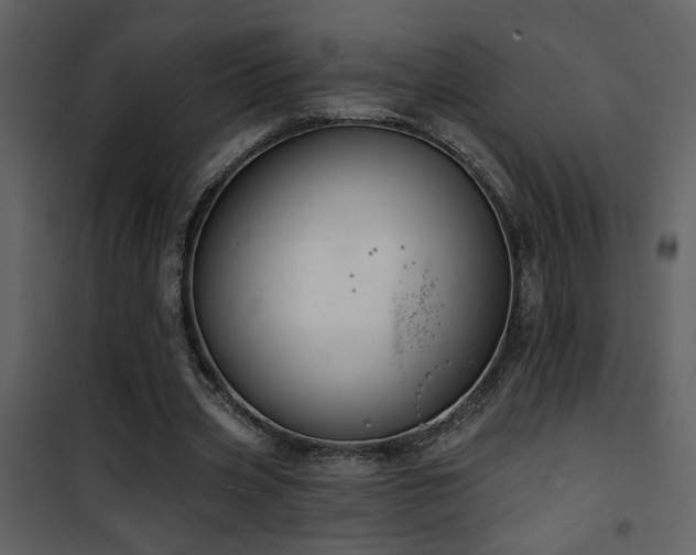 X0000101970533200807181107