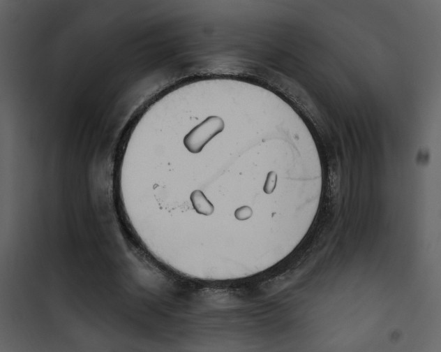 X0000101970534200807181107