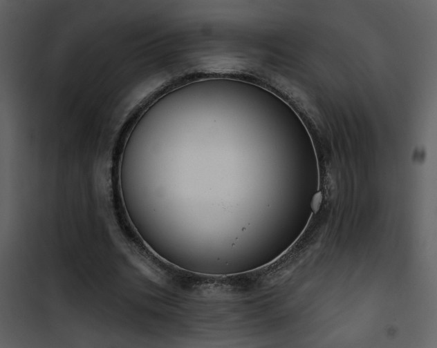 X0000101970535200807181107
