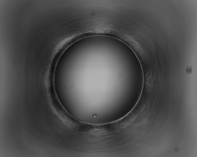 X0000101970536200807181107