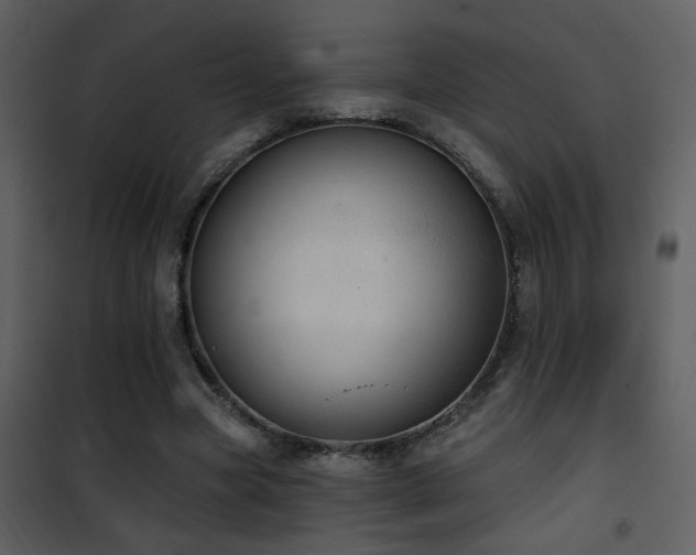 X0000101970537200807181107