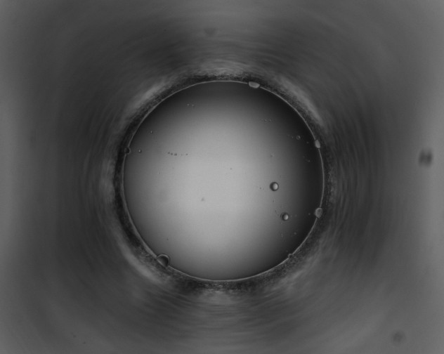 X0000101970538200807181107