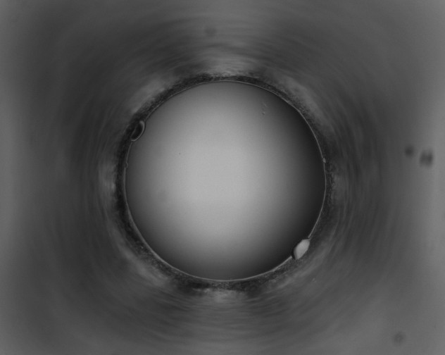 X0000101970539200807181107