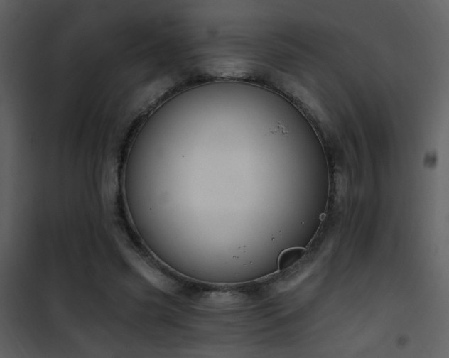 X0000101970541200807181107