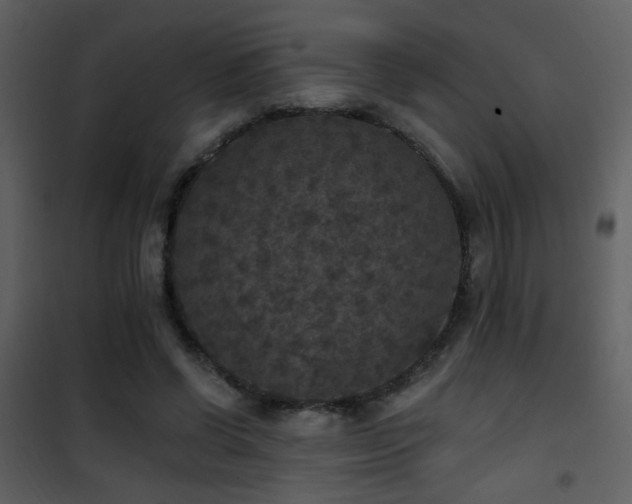 X0000101970542200807181107
