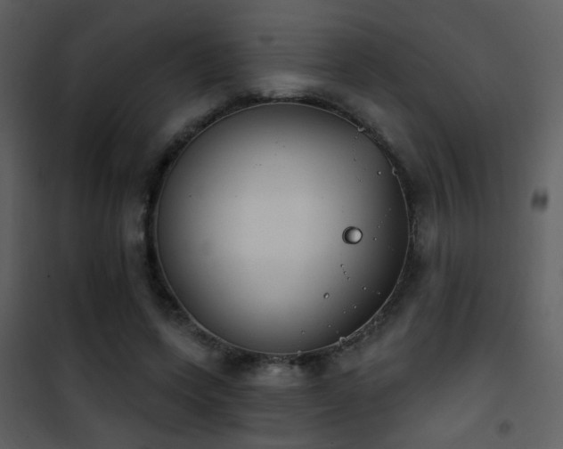 X0000101970543200807181107