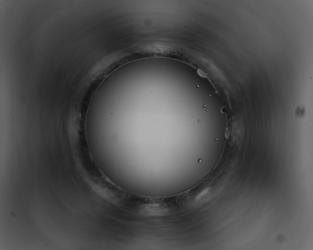 X0000101970544200807181107