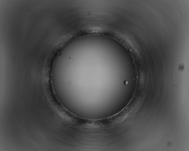 X0000101970545200807181107