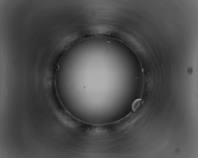 X0000101970546200807181107