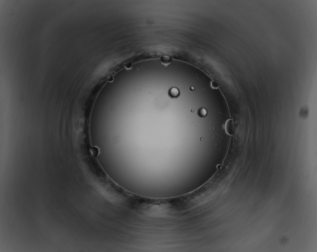 X0000101970548200807181107