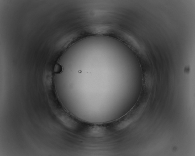 X0000101970549200807181107