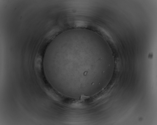 X0000101970550200807181107