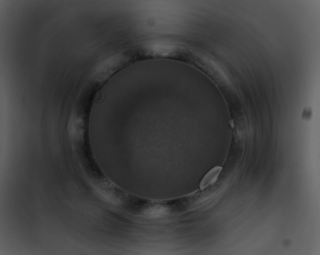 X0000101970551200807181107
