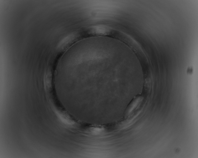 X0000101970552200807181107