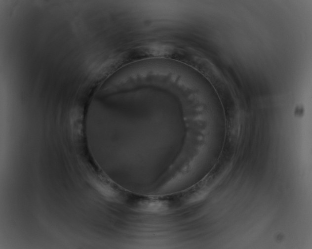 X0000101970553200807181107
