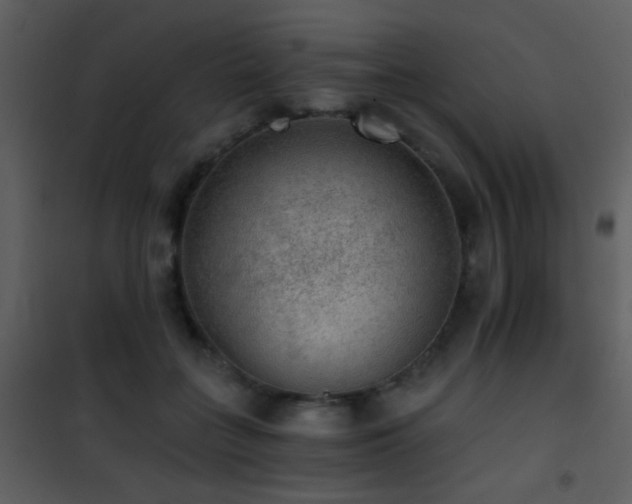 X0000101970555200807181107