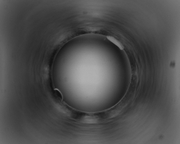 X0000101970556200807181107