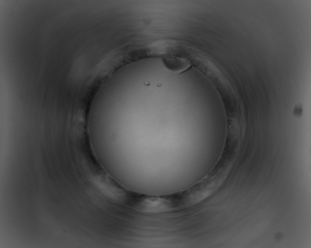X0000101970557200807181107