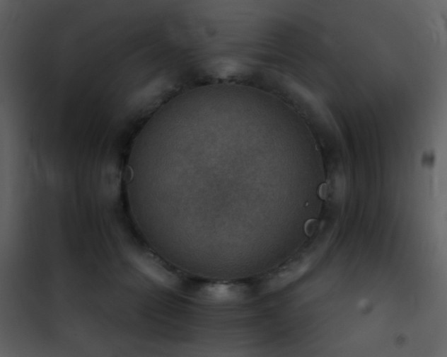 X0000101970558200807181107