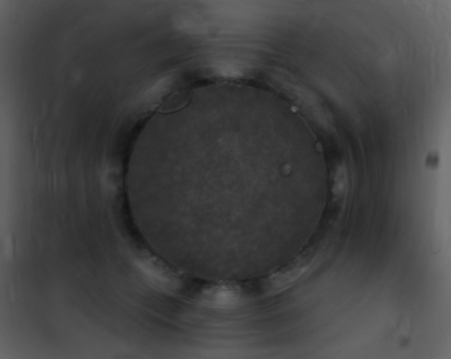 X0000101970559200807181108