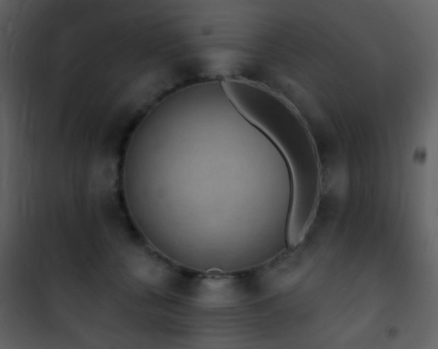 X0000101970560200807181108