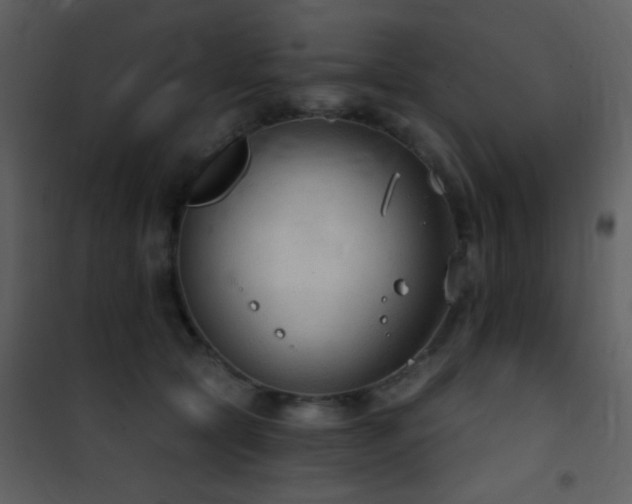 X0000101970561200807181108