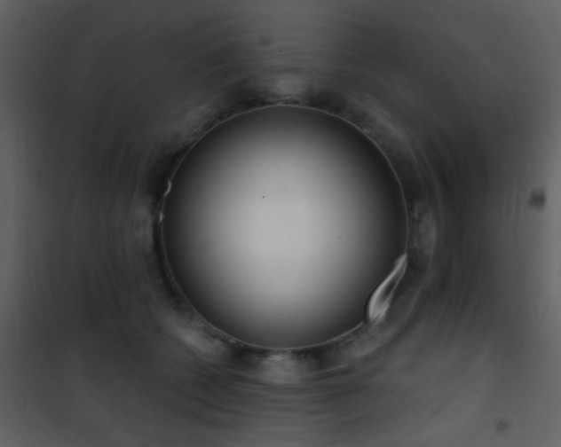 X0000101970562200807181108