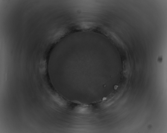 X0000101970563200807181108