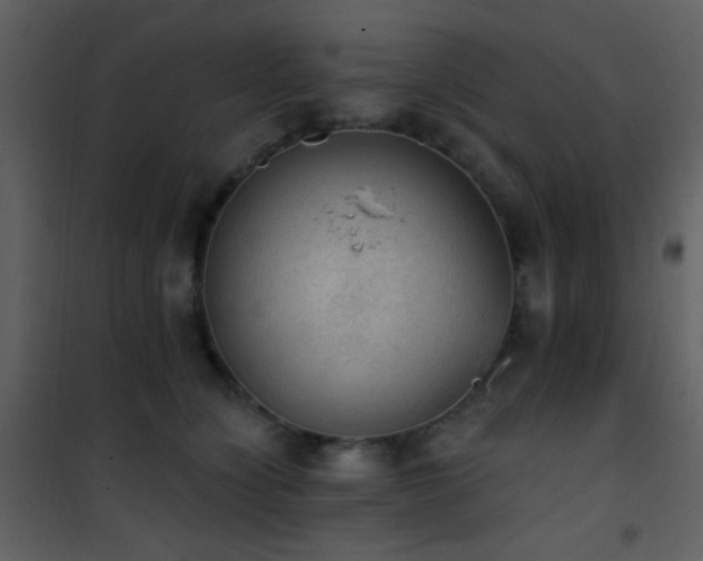 X0000101970564200807181108
