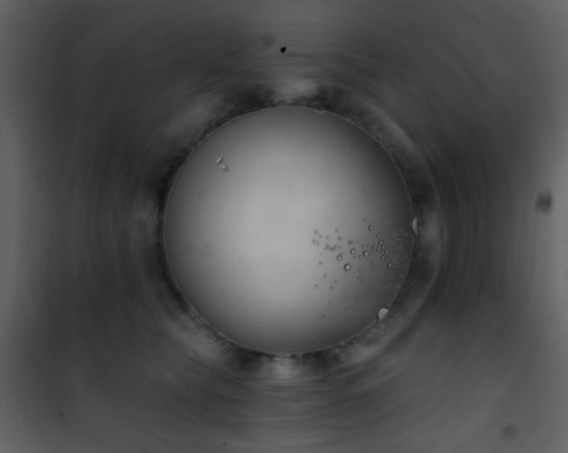 X0000101970565200807181108