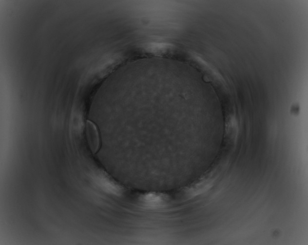 X0000101970566200807181108