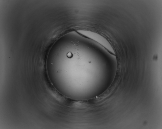X0000101970568200807181108