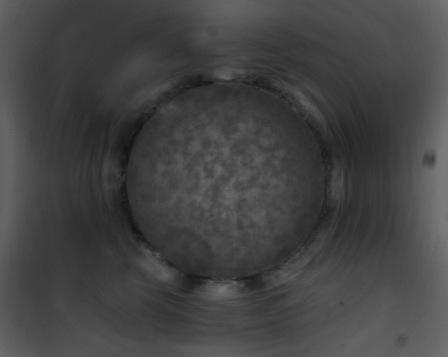 X0000101970569200807181108