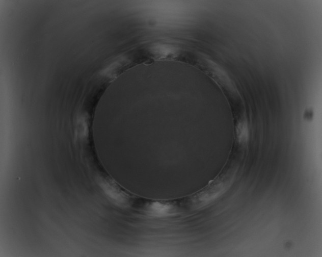 X0000101970570200807181108