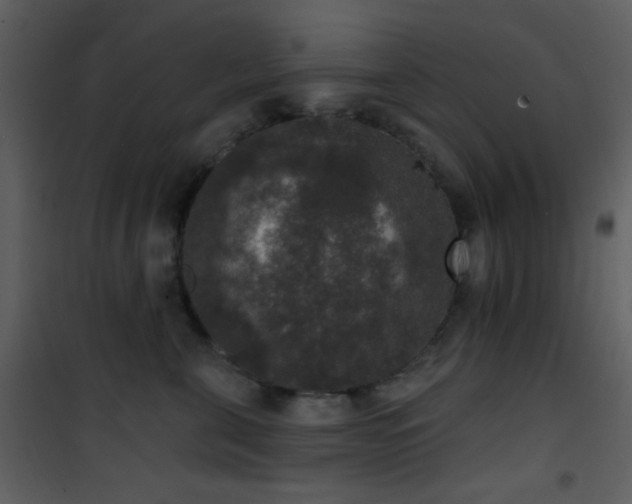 X0000101970571200807181108