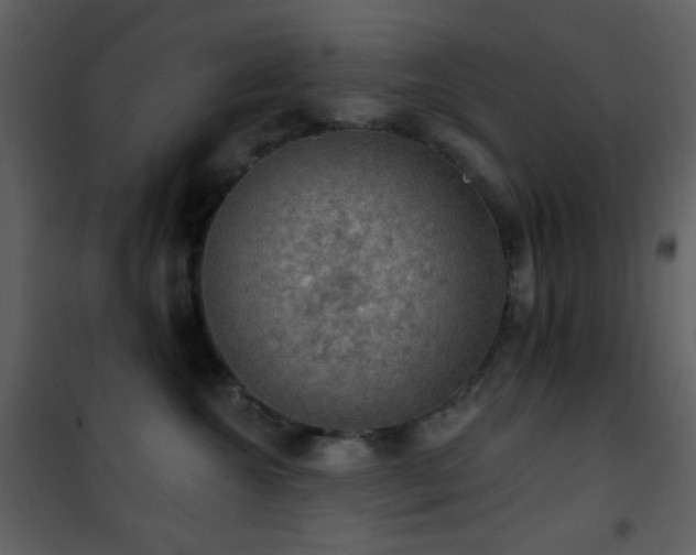 X0000101970572200807181108
