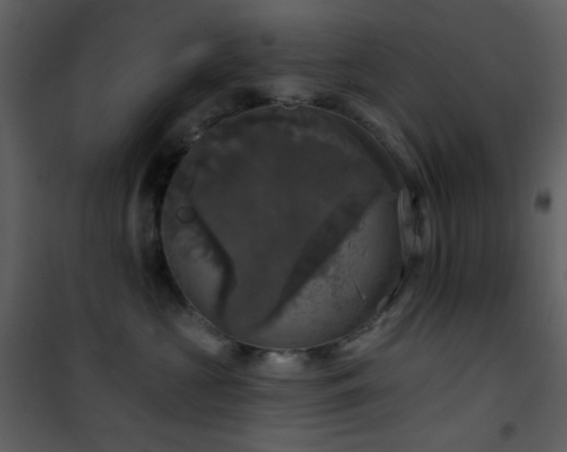 X0000101970573200807181108