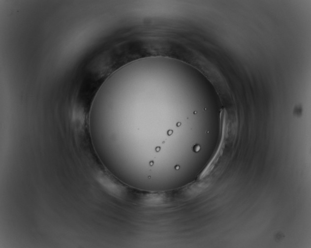 X0000101970574200807181108