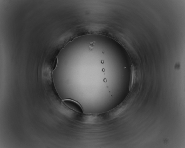 X0000101970575200807181108